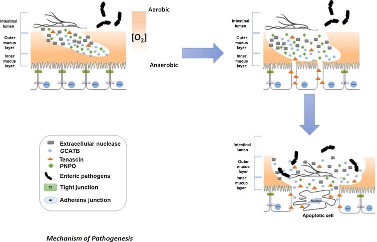 Figure 3: