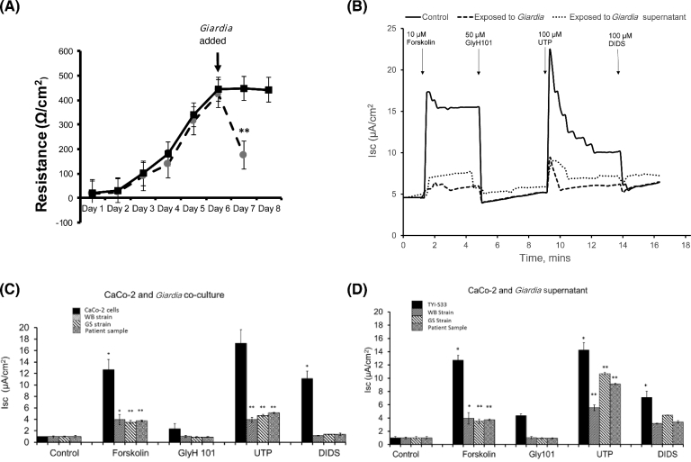 Figure 2: