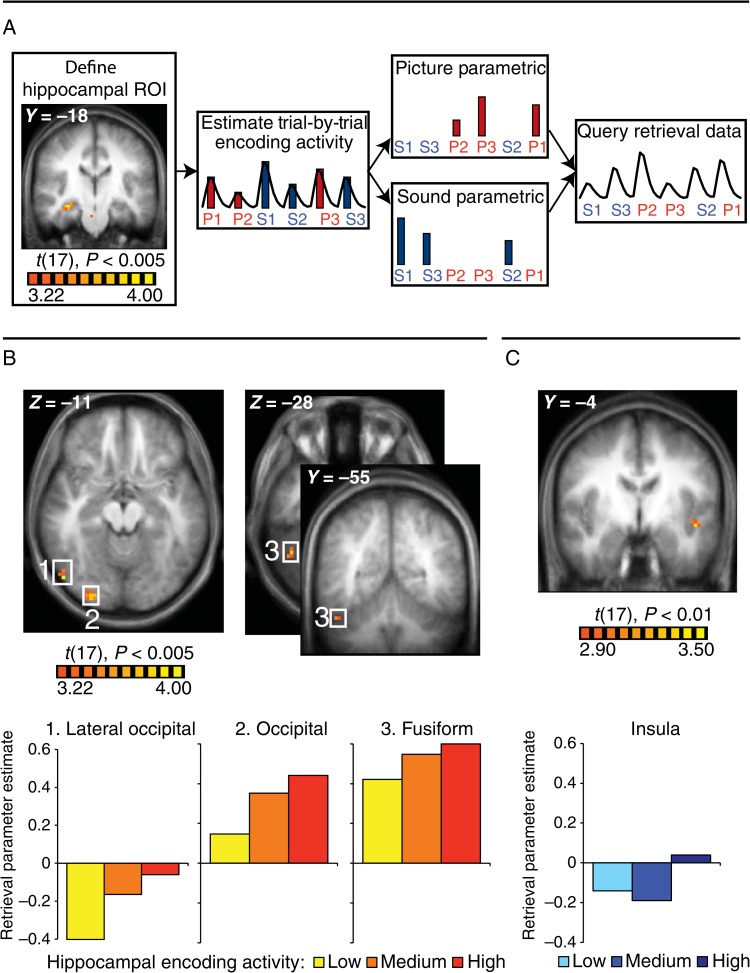 Figure 2.