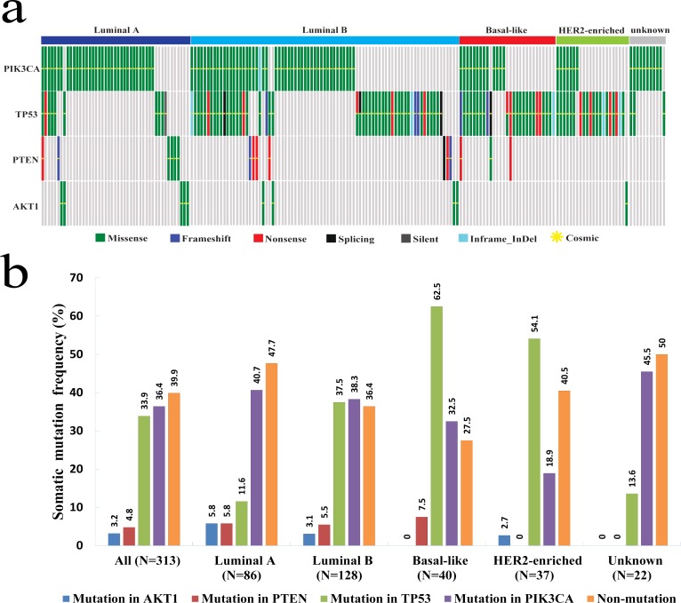 Prevalence and spectrum of AKT1, PIK3CA, PTEN and TP53 somatic ...