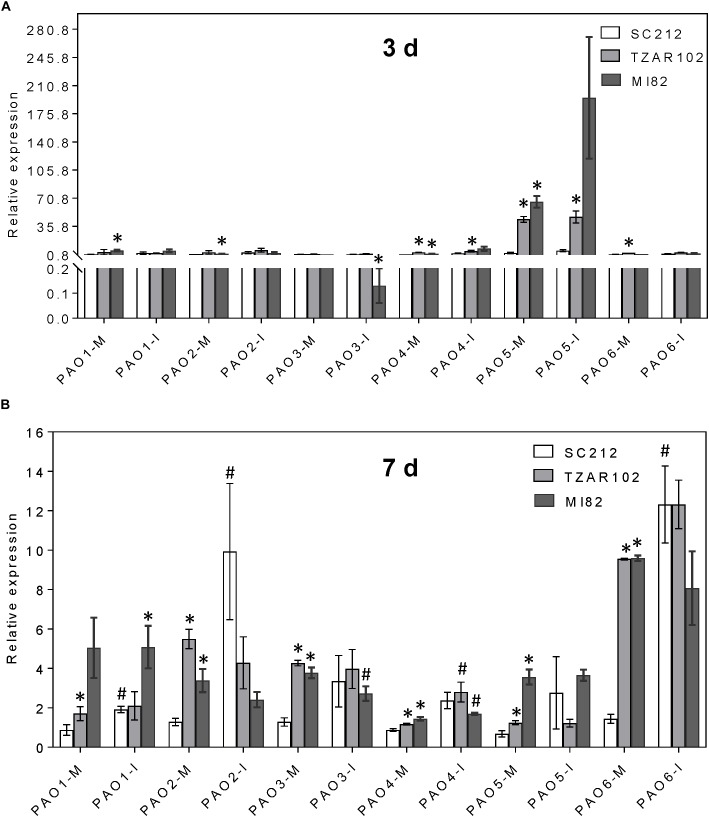 FIGURE 6