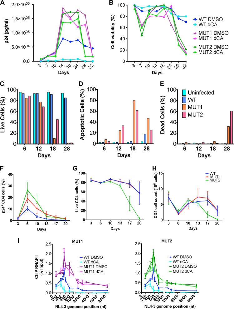 FIG 3