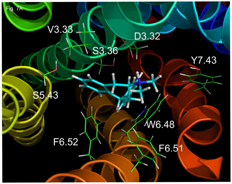 Fig. 7