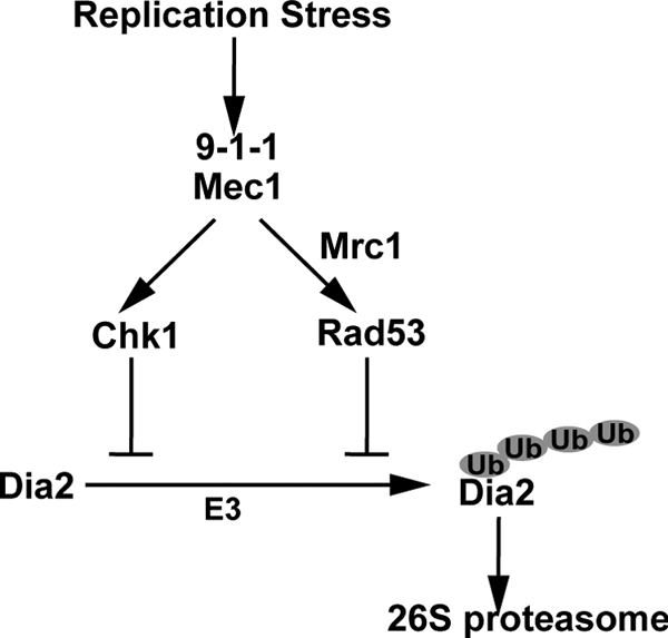 FIG. 8.