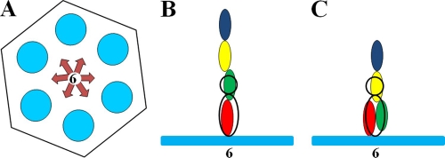 Fig. 6.