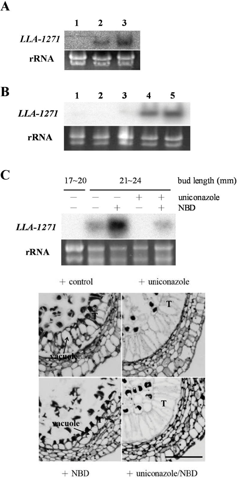 Fig. 5.