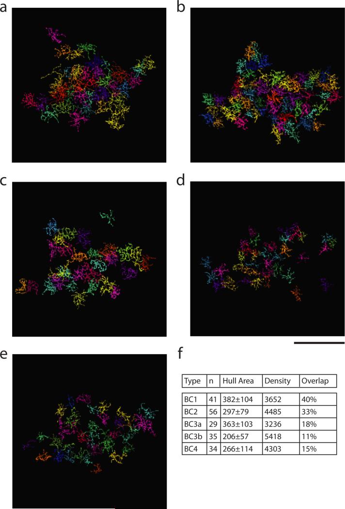 Extended Data Figure 6