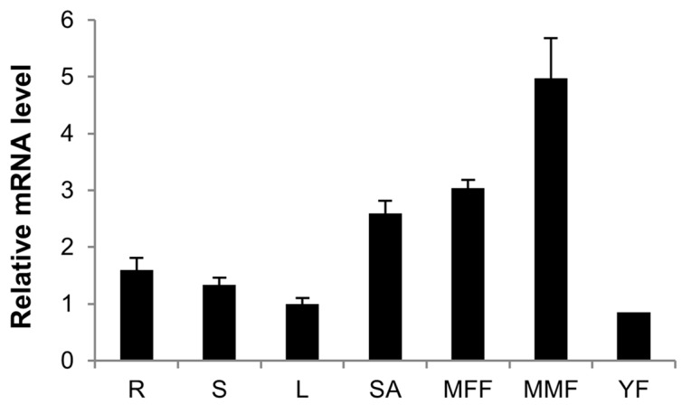 Figure 7