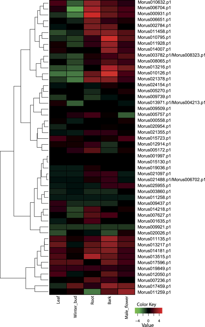 Figure 4