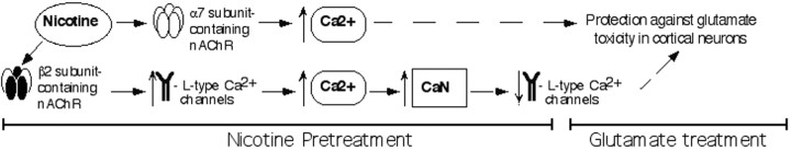 Figure 7.