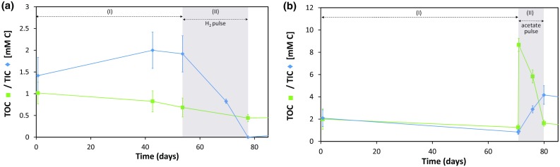 Fig. 7