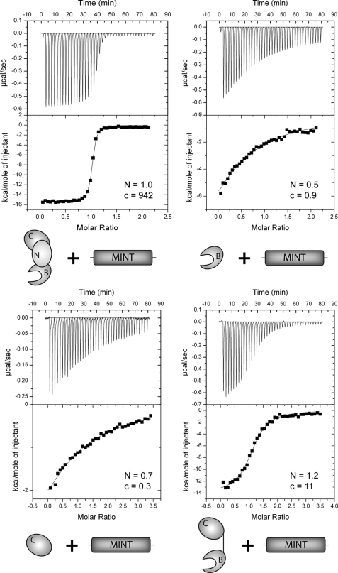 FIGURE 4.