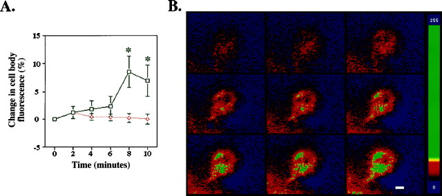 Fig. 6.