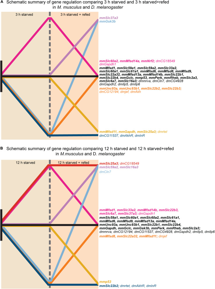 FIGURE 13