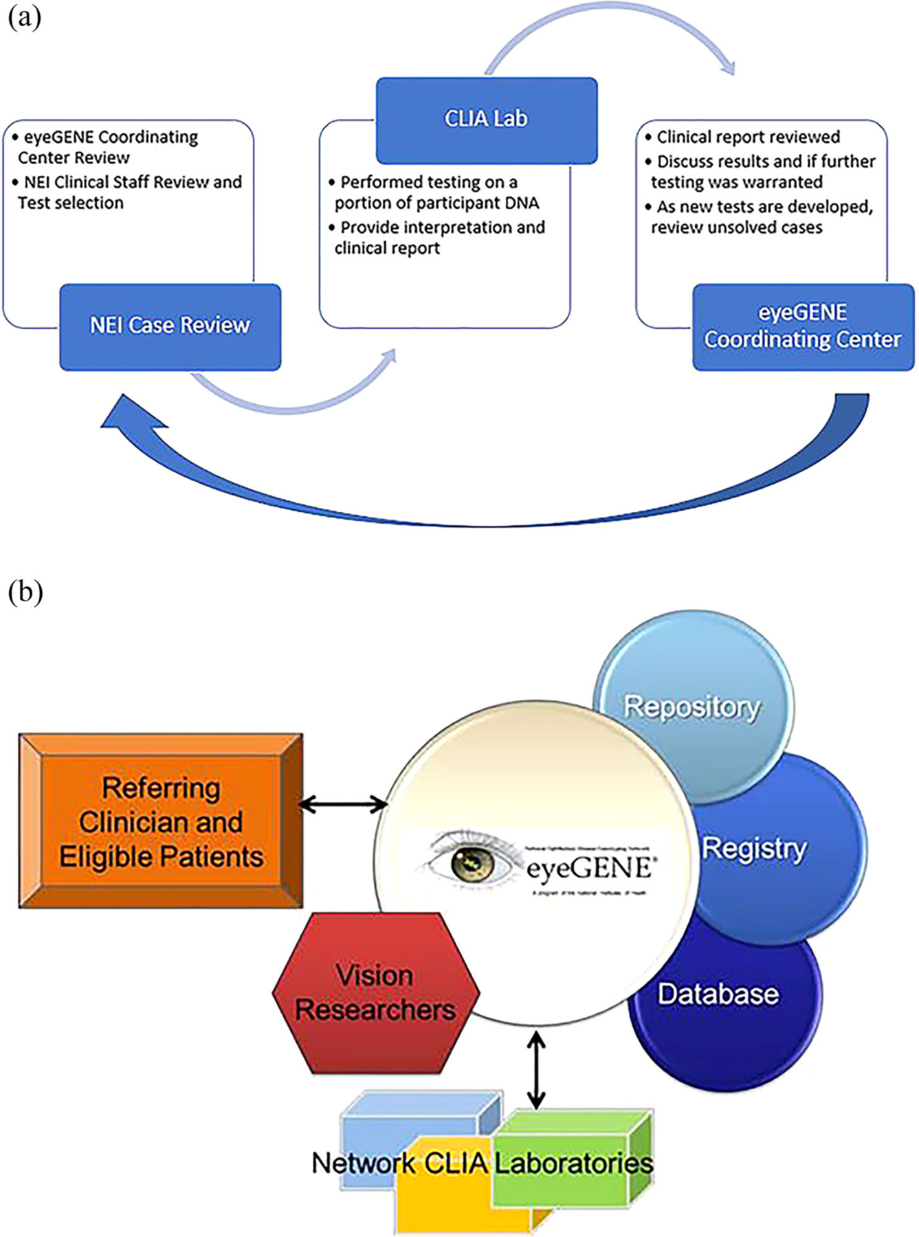 FIGURE 1