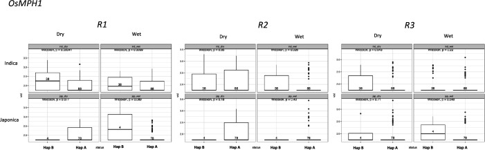 Figure 6—figure supplement 1.