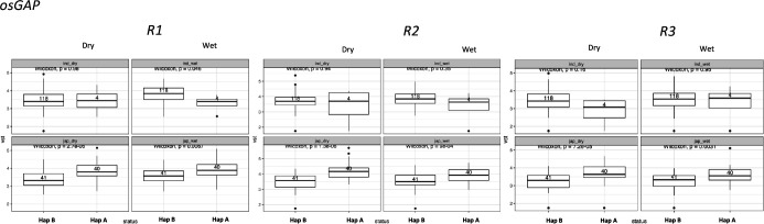 Figure 5—figure supplement 1.