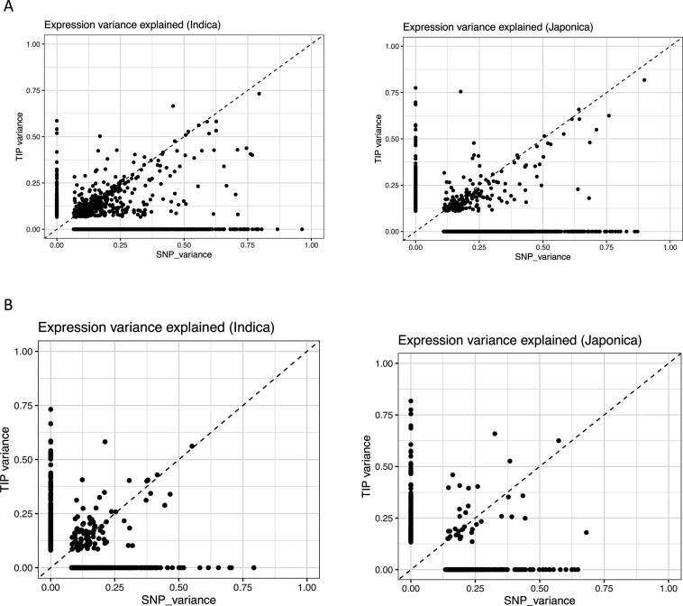 Figure 1—figure supplement 1.