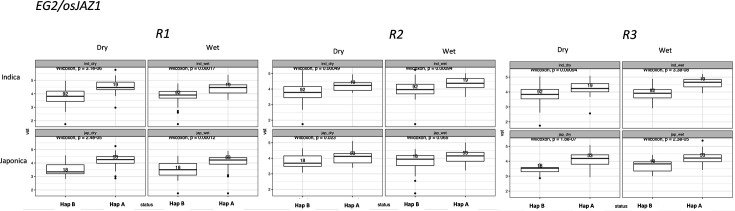 Figure 4—figure supplement 1.