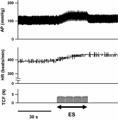 Fig. 2