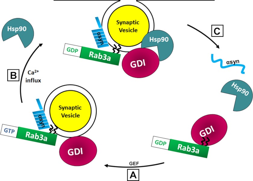 FIGURE 10.