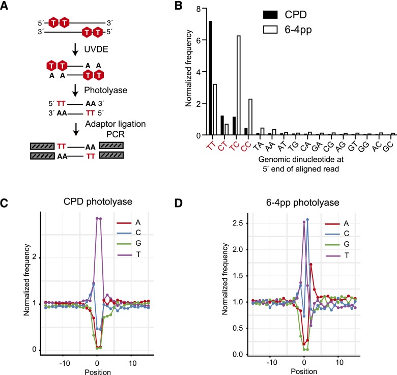 Figure 4.