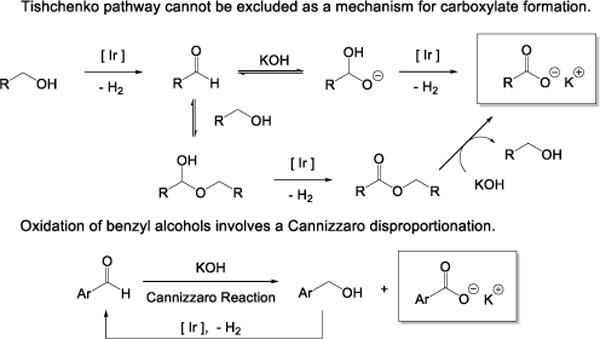 Scheme 4