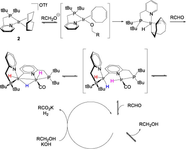 Scheme 3