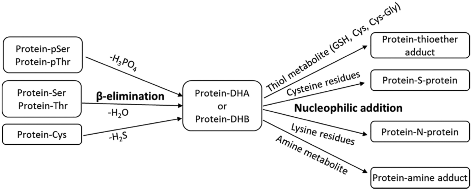 Figure 13.