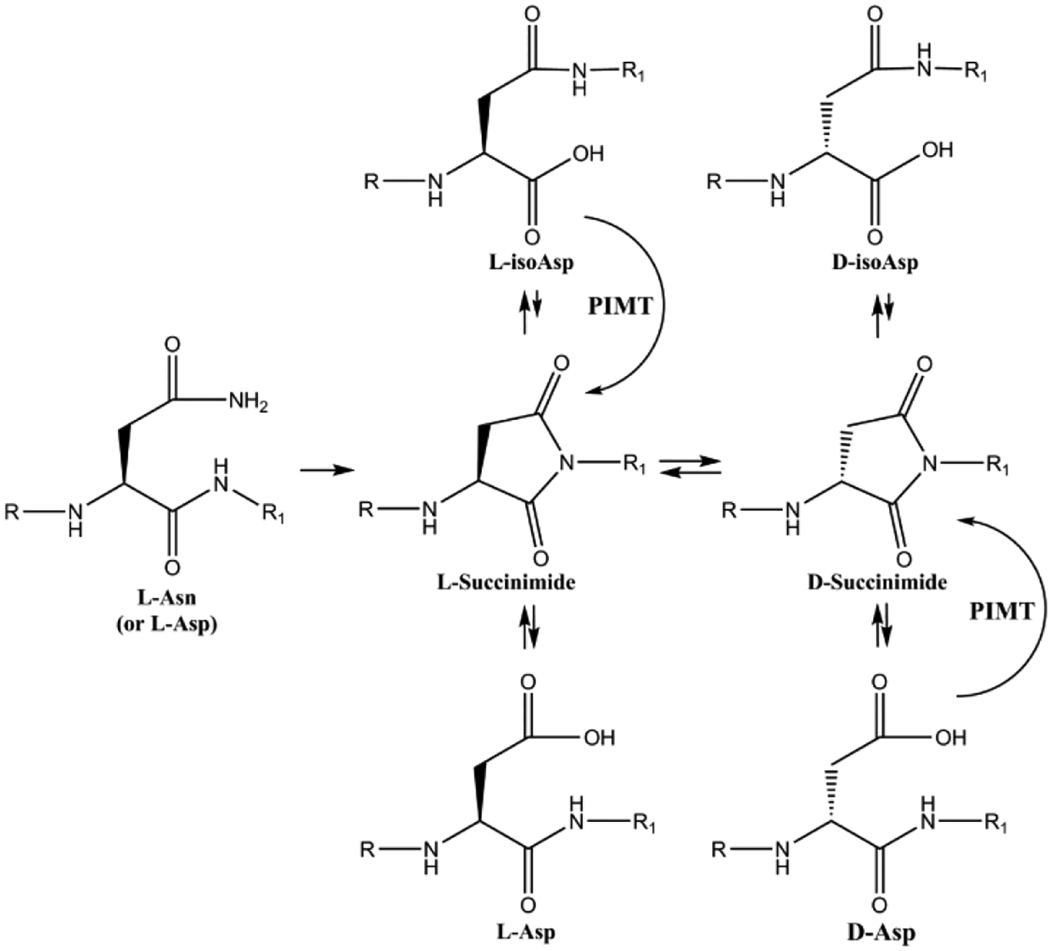 Figure 10.