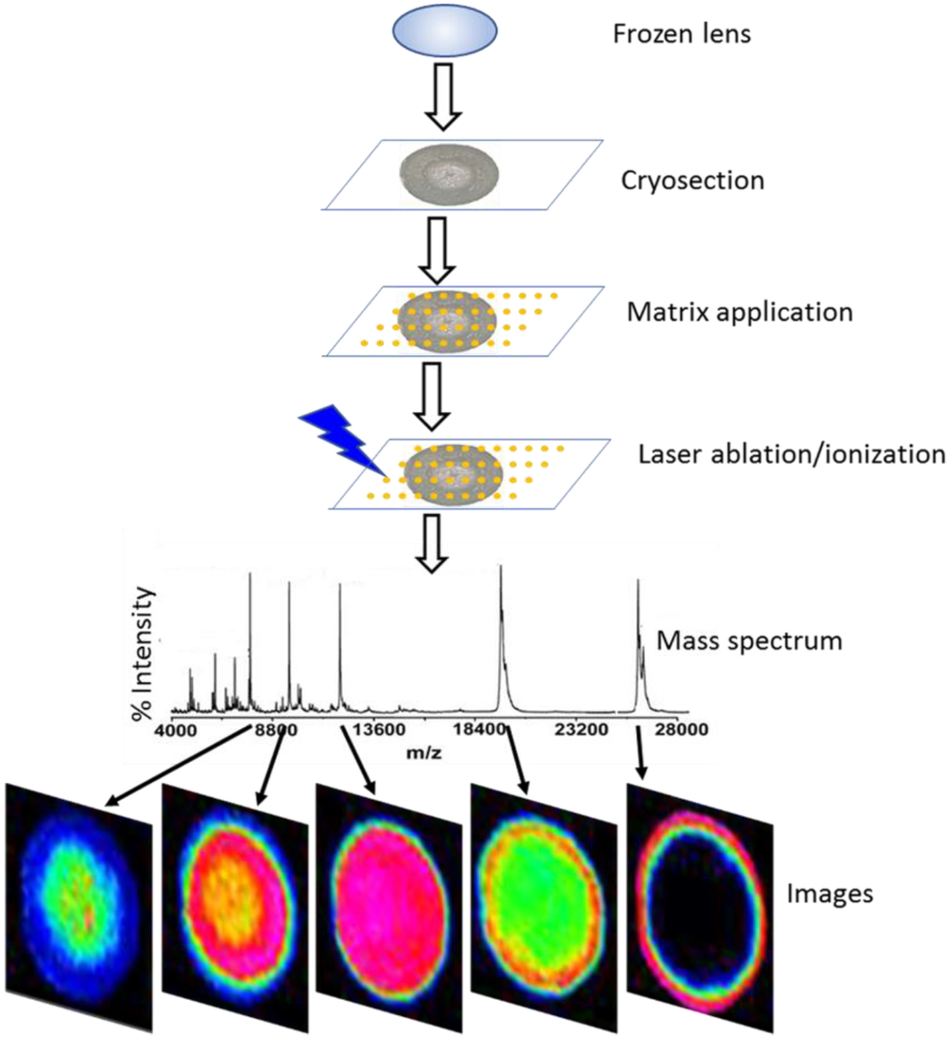 Figure 3.