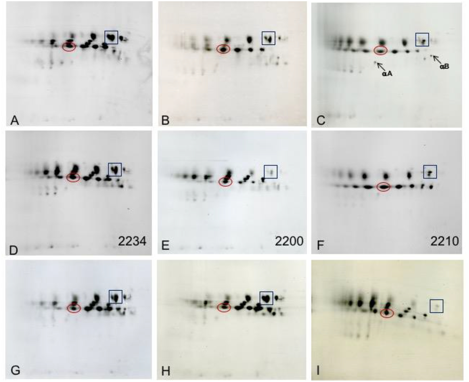 Figure 17.