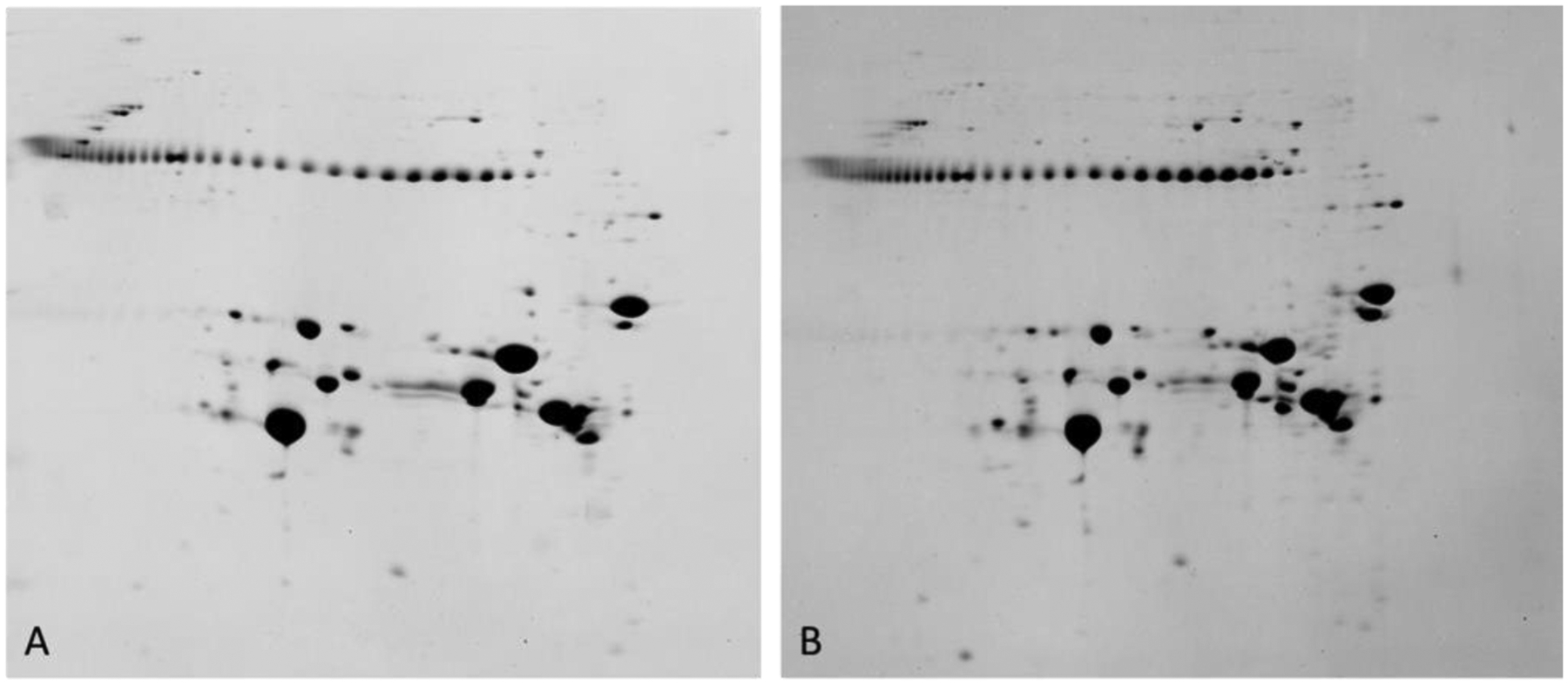 Figure 16.