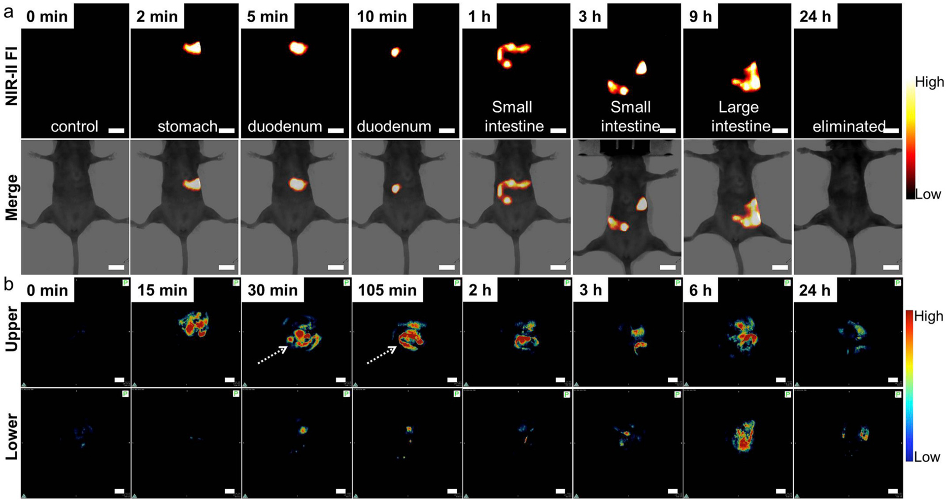 Fig. 3.