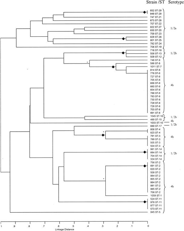 FIG. 1.