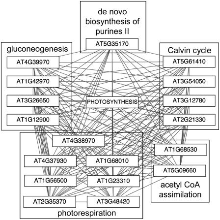 Figure 7.