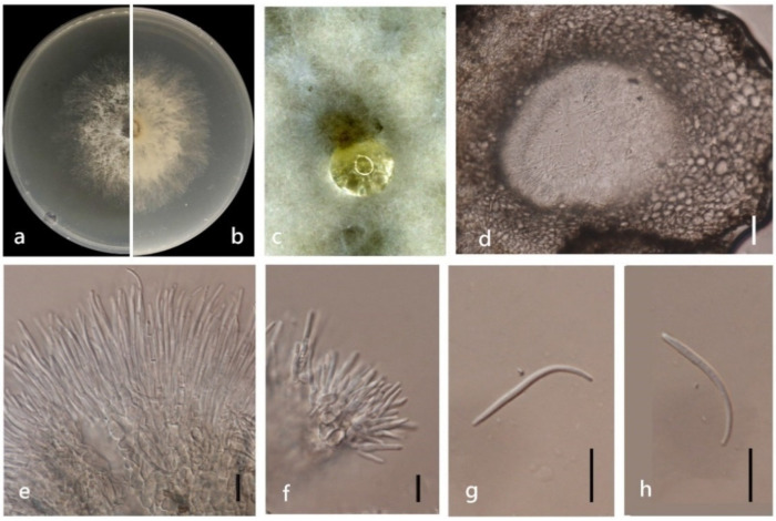 Figure 14