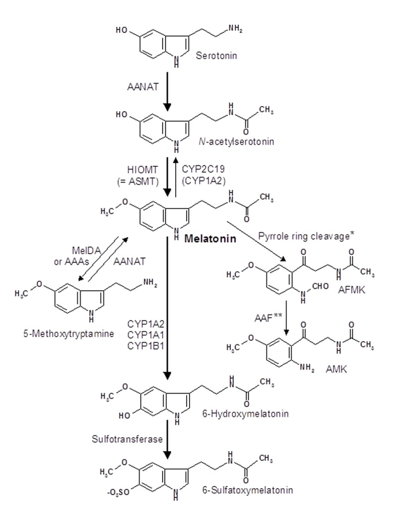 Figure 1: