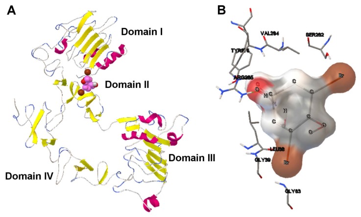 Figure 11.