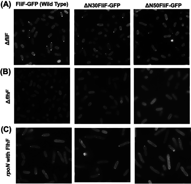 FIG 3