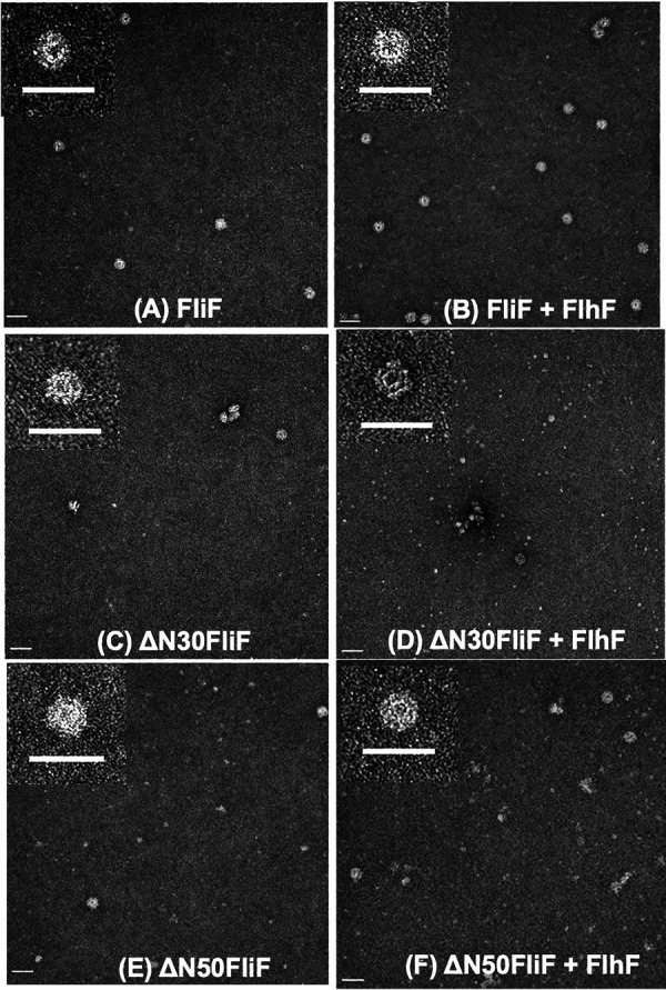 FIG 2