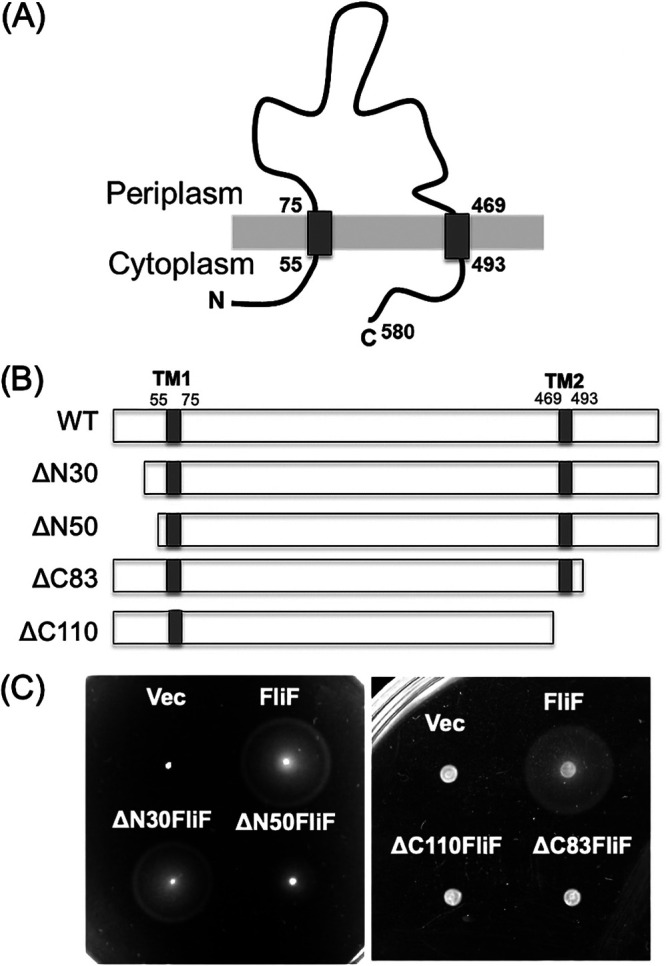 FIG 1