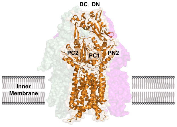 Fig. 3