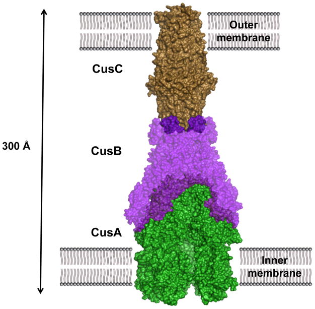 Fig. 10