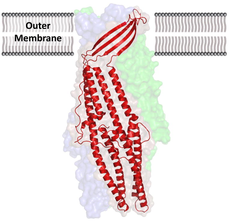 Fig. 9