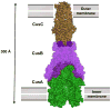 Fig. 10