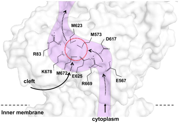 Fig. 8