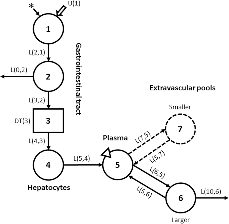 FIGURE 1