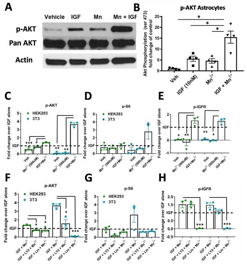 Figure 6: