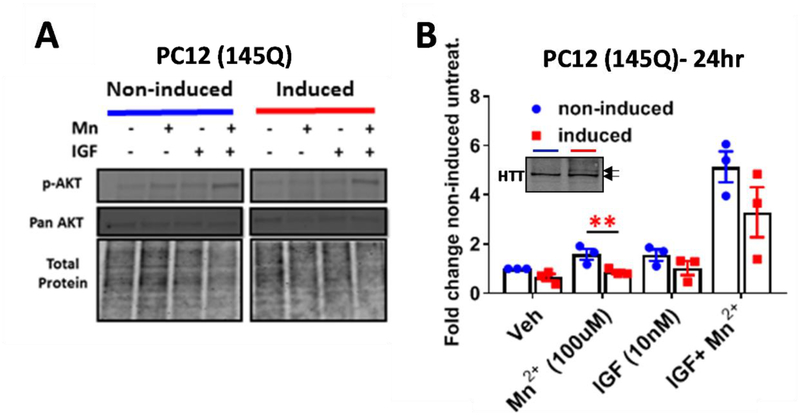 Figure 3: